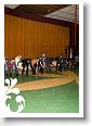 mariage_julie_bertrand-140